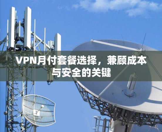VPN月付套餐选择，兼顾成本与安全的关键