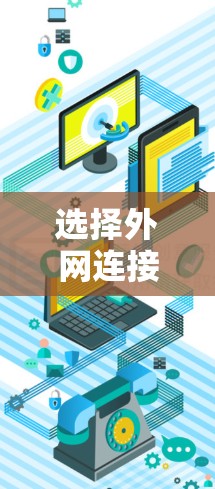 选择外网连接方案是一个复杂的过程，需要综合考虑多个因素。以下是对外网连接方案选择的总结和建议