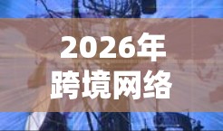 2026年跨境网络工具的目录可以分为五个主要类别,每个类别下细分为具体的子项,每个子项简要说明其功能和优势。以下是详细的分类 2026年跨境网络工具的目录可以分为五个主要类别,每个类别下细分为具体的子项,每个子项简要说明其功能和优势。以下是详细的分类