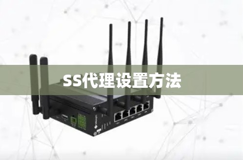 SS代理设置方法