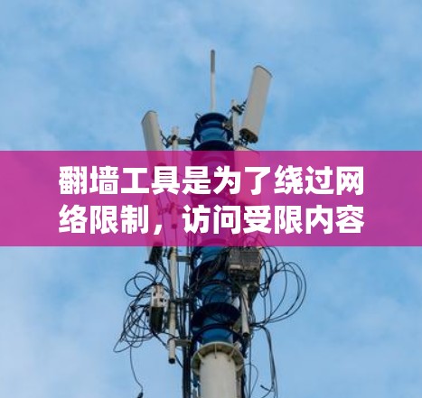 翻墙工具是为了绕过网络限制，访问受限内容或网站。根据需求和使用场景，可以选择以下几种工具