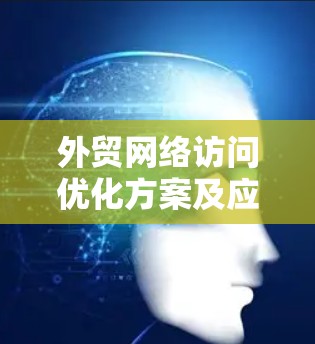 外贸网络访问优化方案及应用探讨 外贸网络访问优化方案及应用探讨