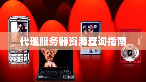 代理服务器资源查询指南 代理服务器资源查询指南