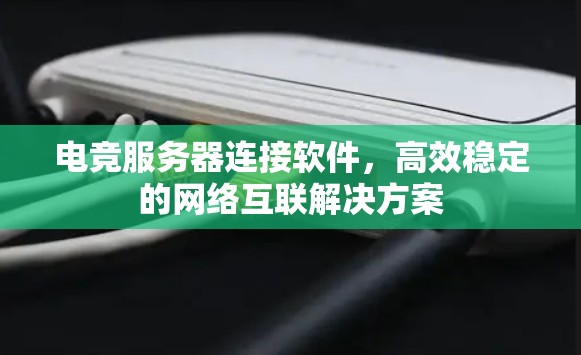 电竞服务器连接软件,高效稳定的网络互联解决方案 电竞服务器连接软件,高效稳定的网络互联解决方案