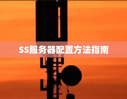 SS服务器配置方法指南 SS服务器配置方法指南