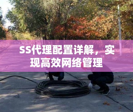 SS代理配置详解,实现高效网络管理 SS代理配置详解,实现高效网络管理