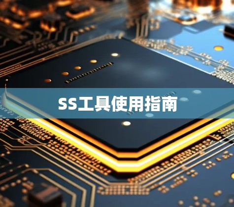 SS工具使用指南