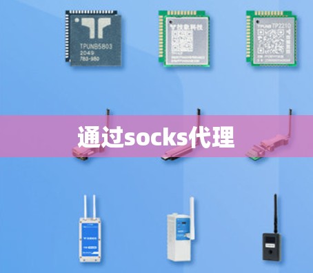 通过socks代理 通过socks代理