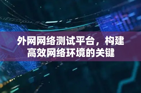 外网网络测试平台,构建高效网络环境的关键 外网网络测试平台,构建高效网络环境的关键