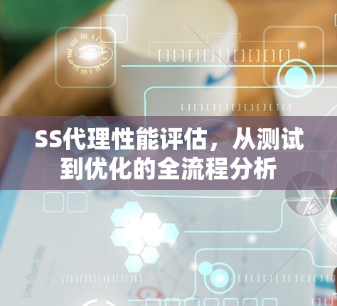 SS代理性能评估，从测试到优化的全流程分析