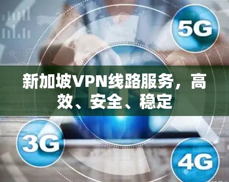 新加坡VPN线路服务,高效、安全、稳定 新加坡VPN线路服务,高效、安全、稳定