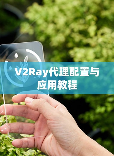 V2Ray代理配置与应用教程 V2Ray代理配置与应用教程