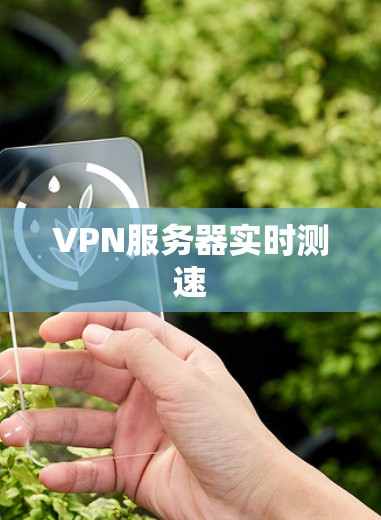 VPN服务器实时测速 VPN服务器实时测速