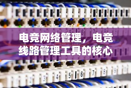 电竞网络管理，电竞线路管理工具的核心作用