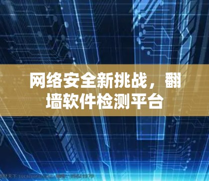 网络安全新挑战,翻墙软件检测平台 网络安全新挑战,翻墙软件检测平台