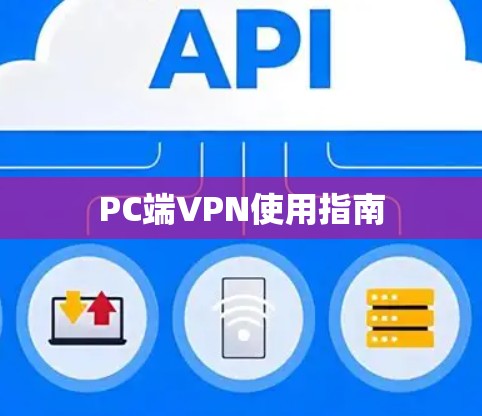 PC端VPN使用指南 PC端VPN使用指南