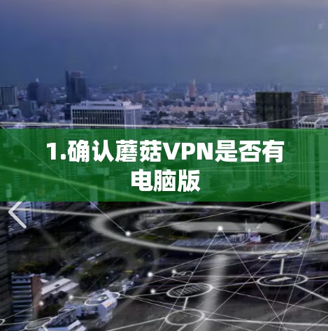 1.确认蘑菇VPN是否有电脑版 1.确认蘑菇VPN是否有电脑版
