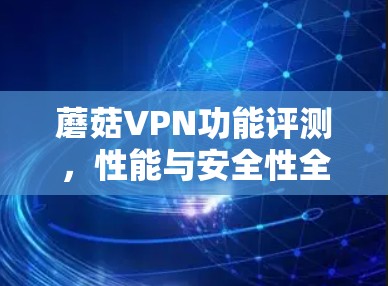 蘑菇VPN功能评测,性能与安全性全面解析 蘑菇VPN功能评测,性能与安全性全面解析