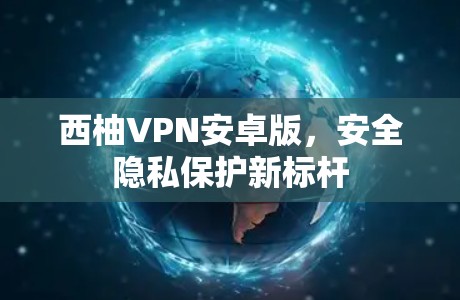 西柚VPN安卓版,安全隐私保护新标杆 西柚VPN安卓版,安全隐私保护新标杆