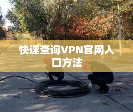 快速查询VPN官网入口方法 快速查询VPN官网入口方法