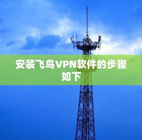 安装飞鸟VPN软件的步骤如下 安装飞鸟VPN软件的步骤如下