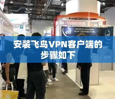 安装飞鸟VPN客户端的步骤如下 安装飞鸟VPN客户端的步骤如下