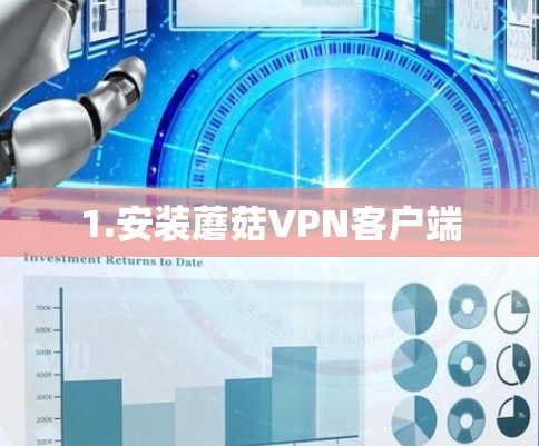 1.安装蘑菇VPN客户端 1.安装蘑菇VPN客户端