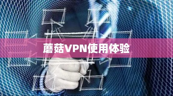 蘑菇VPN使用体验 蘑菇VPN使用体验