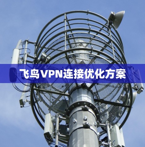 飞鸟VPN连接优化方案 飞鸟VPN连接优化方案