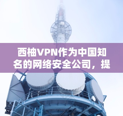西柚VPN作为中国知名的网络安全公司,提供的VPN服务主要面向企业用户,具备较强的安全性和专业性。以下是对其性能的详细分析 西柚VPN作为中国知名的网络安全公司,提供的VPN服务主要面向企业用户,具备较强的安全性和专业性。以下是对其性能的详细分析