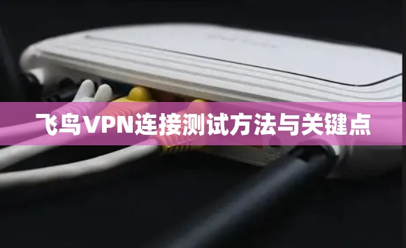 飞鸟VPN连接测试方法与关键点 飞鸟VPN连接测试方法与关键点