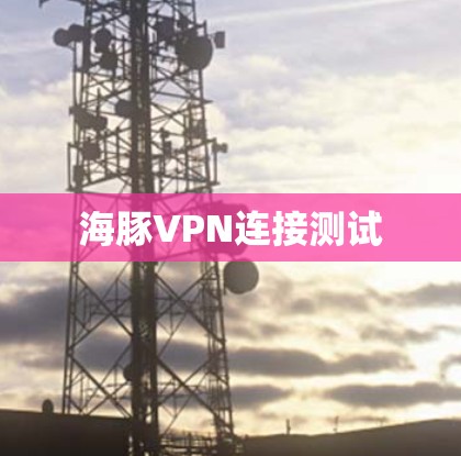 海豚VPN连接测试 海豚VPN连接测试