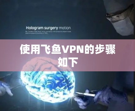 使用飞鱼VPN的步骤如下 使用飞鱼VPN的步骤如下