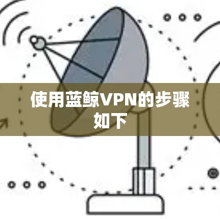 使用蓝鲸VPN的步骤如下 使用蓝鲸VPN的步骤如下