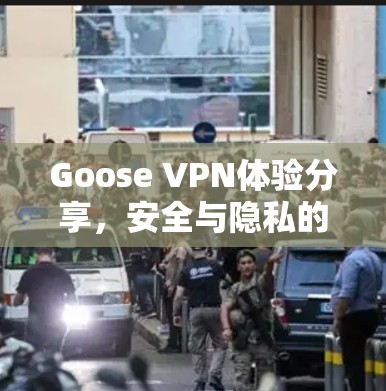 Goose VPN体验分享,安全与隐私的保障 Goose VPN体验分享,安全与隐私的保障