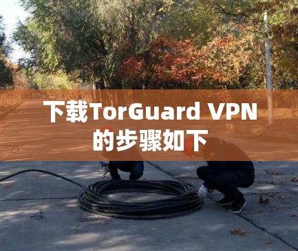下载TorGuard VPN的步骤如下 下载TorGuard VPN的步骤如下