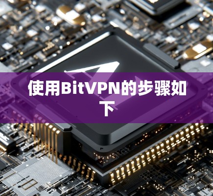 使用BitVPN的步骤如下 使用BitVPN的步骤如下