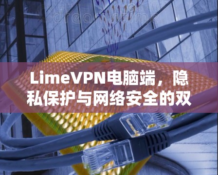 LimeVPN电脑端,隐私保护与网络安全的双重保障 LimeVPN电脑端,隐私保护与网络安全的双重保障