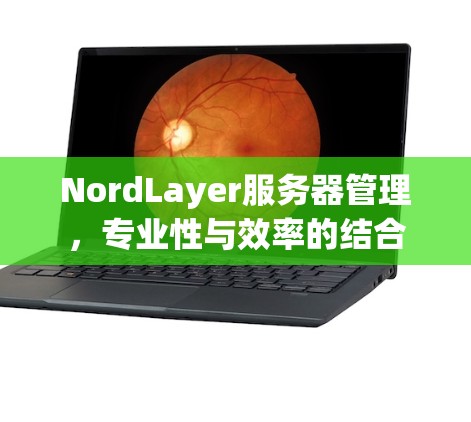 NordLayer服务器管理,专业性与效率的结合 NordLayer服务器管理,专业性与效率的结合
