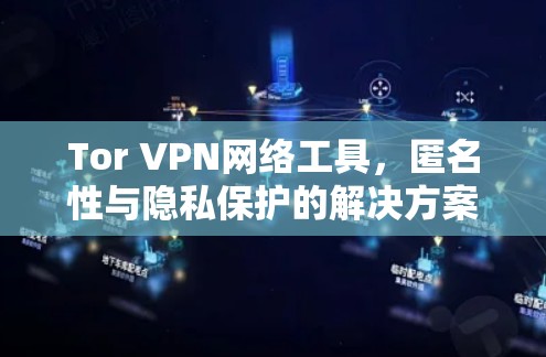 Tor VPN网络工具,匿名性与隐私保护的解决方案 Tor VPN网络工具,匿名性与隐私保护的解决方案