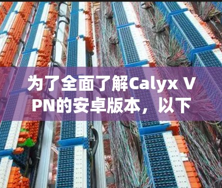 为了全面了解Calyx VPN的安卓版本,以下是详细的分析和步骤指南 为了全面了解Calyx VPN的安卓版本,以下是详细的分析和步骤指南