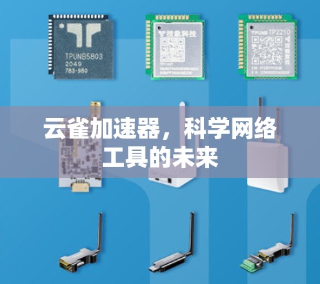 云雀加速器,科学网络工具的未来 云雀加速器,科学网络工具的未来