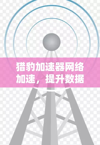 猎豹加速器网络加速,提升数据传输效率的关键技术 猎豹加速器网络加速,提升数据传输效率的关键技术