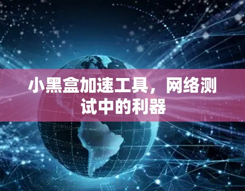 小黑盒加速工具,网络测试中的利器 小黑盒加速工具,网络测试中的利器